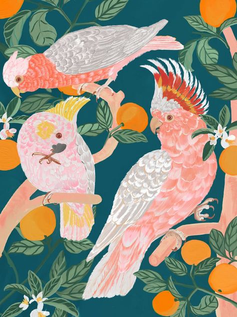 Parrots on orange tree on Artfully Walls Seaside Shops, Equestrian Shop, Eclectic Contemporary, Erin Gates, Artfully Walls, Romantic Cottage, Modern Beach, Shopping Photography, Orange Tree