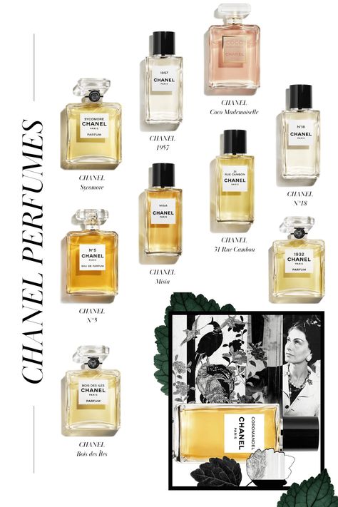 Chanel Perfumes, Perfume Names, Fragrance Lab, Chanel Fragrance, Parfum Chanel, Perfume Display, Perfume Organization, Fragrances Perfume Woman, Perfume Photography