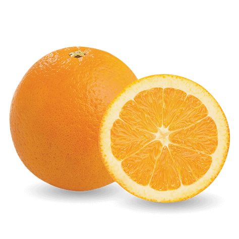 Navel oranges are just the right size for little hands that need a tasty and nutritious snack. They also happen to be the most popular citrus variety. Navel Oranges, Nutritious Snacks, Food Lion, Frank Sinatra, Martini, Apples, Old Fashioned, Most Popular, Fruit