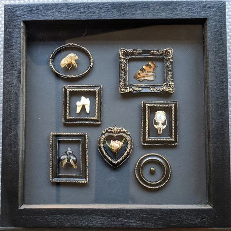 Miniature gallery wall within a shadow box - filled with tiny curios and wonders in miniature hand-painted frames. Miniature Gallery Wall, Bug Gallery Wall, Bone Shadow Box, Miniature Oddities, Oddity Crafts, Wall Frame Gallery, Oddities Wall, Diy Shadow Box Frame, Oddities Art