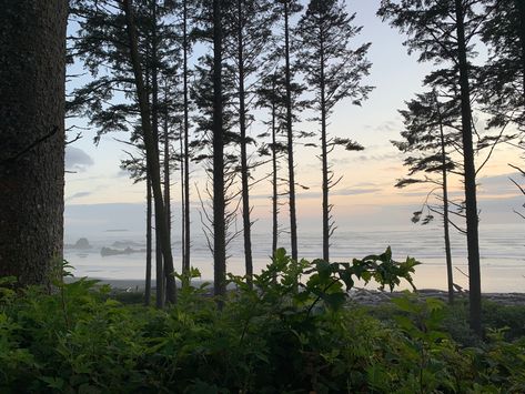 Oregon Coast Photography, Seaside Oregon Aesthetic, Oregon Coast Aesthetic, Pacific Northwest Beach Aesthetic, Oregon Coastal Towns, Coast Aesthetic, Washington State Hikes, Bowen Island, Oregon Beach