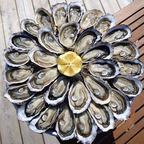 Anti Vegan, Seafood Party, Raw Oysters, Oyster Recipes, Party Food Buffet, Best Party Food, Seafood Platter, Exotic Food, Fancy Food