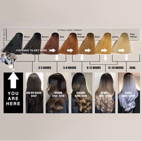 Black To Blonde, Black To Blonde Hair, Hair Formulas, Color Correction Hair, Hair Education, Box Dye, Going Blonde, Balayage Technique, Color Formulas