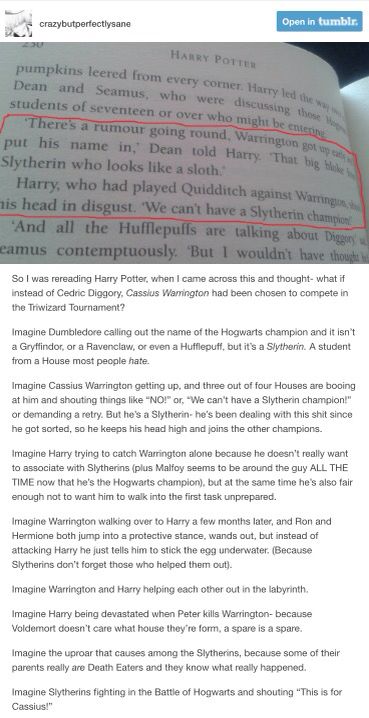 If Cassius Warrington was chosen instead of Cedric Diggory - part 1 Cassius Warrington Harry Potter, Cedric Diggory Headcanon, Cassius Warrington, Harry Potter Pin, Cedric Diggory, Harry Potter Anime, Hogwarts School, Harry Potter Obsession, Wizarding World Of Harry Potter