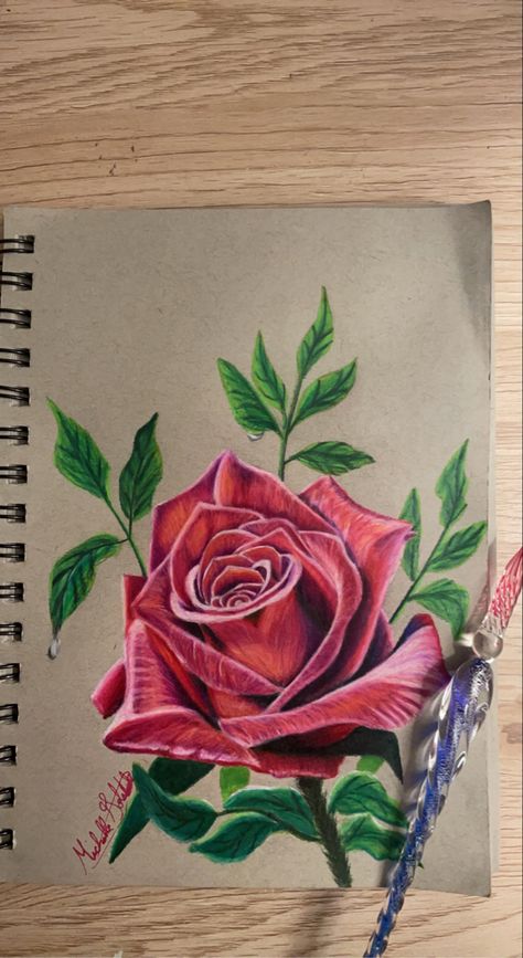 Drawing Rose Drawing Colored Pencil, Carnation Colors, Flower References, Hyperrealistic Drawing, Prismacolor Drawing, Angel Sketch, Carnation Tattoo, Pencil Drawings Of Flowers, Prismacolor Art