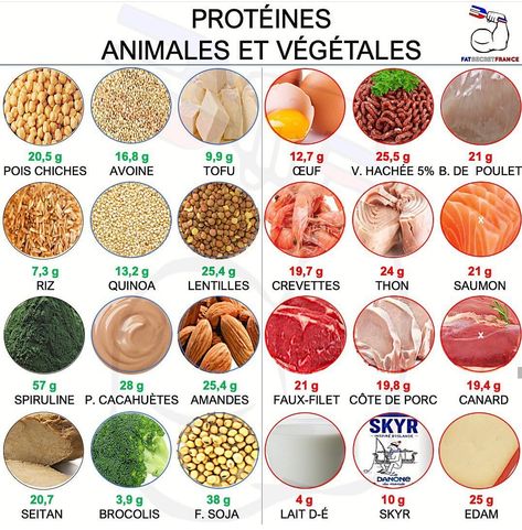 Taux de protéines animales et végétales pour 100g d'aliment. Healthy Salt, Vegan Animals, Nutrition Coach, Fat Burning Foods, Diet Meal Plans, Food Hacks, Workout Food, Diet Recipes, Healthy Breakfast