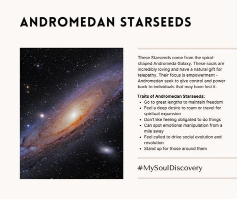 Andromedans Starseed, Andromedans Aliens, Andromedan Starseed Aesthetic, Starseed Aesthetic, Andromedan Starseed, Left And Right Brain, Zen Mind, Star Seed, Metaphysical Spirituality