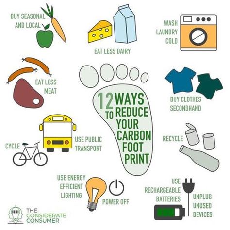 Ways To Reduce Carbon Footprint, Reduce Carbon Footprint Poster, How To Reduce Carbon Footprint, Consumer Health Poster, Carbon Footprint Poster, Footprint Poster, Flood In Pakistan, Reducing Carbon Footprint, Green Marketing