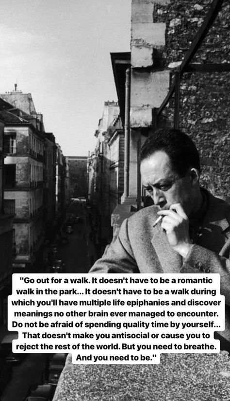 Albert Camus Quotes, Camus Quotes, Tattoos Celebrities, Outdoors Quotes, Quotes Education, Animals Design, Gabriel Garcia Marquez, Education Humor, Dale Carnegie