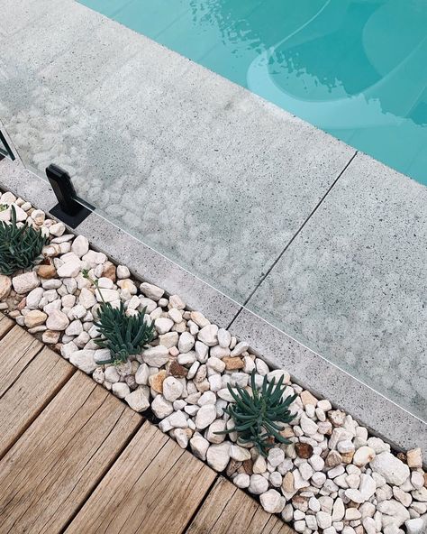 Kira House on Instagram: “How good is this material combo... hardwood timber, white pebble and polished concrete! The pool area at Kira House if definitely one of…” Stone Around Pool, Poolside Landscape Ideas, Arizona Landscaping, Mums Garden, Pebble Landscaping, Pool Landscaping Ideas, Pool Side Bar, Pool Stuff, Pool Landscape