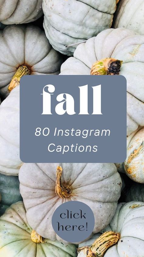 Fall Captions for Instagram. Autumn Instagram Captions, Autumn Captions, Fall Captions, Instagram Games, Photo Caption, Captions For Instagram, Fall Pictures, Picture Captions, Instagram Captions