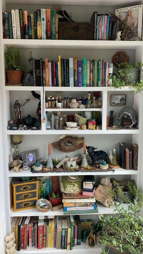 Cluttercore Room Aesthetic, Grunge Bookshelf, Cluttered Bookshelf, Aesthetic Bookshelf Ideas, Book Aesthetic Room, Witchy Bookshelf, Academia Room Decor, Vibey Rooms, Cluttered Bedroom