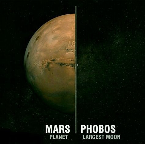 Size comparison of solar system planet Mars with its largest moon Phobos. Dominican Memes, Books Suggestions, Space Video, Astronomy Facts, Space Camp, Science Quotes, Planet Mars, Space Stuff, Space Space