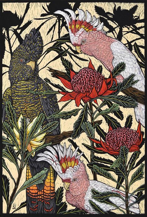 Cockatoos & waratah 76 x 57 Cm .     Edition of 50 Hand Coloured Linocut on Handmade Japanese paper $1,700