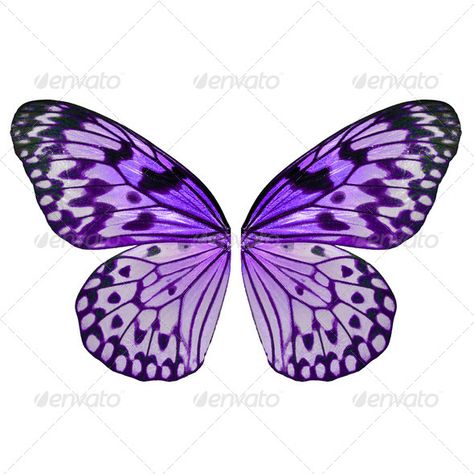 Purple Butterfly Wings, Alzheimer's Awareness, Photo Purple, Art Mask, Amazing Tattoos, Beautiful Bugs, Butterfly Wing, Oc Ideas, Purple Butterfly