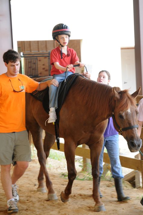 Summer Cat Star Equestrian, Therapeutic Horseback Riding, Riding Saddle, Therapeutic Riding, Summer Cat, Equine Therapy, Horse Therapy, Therapy Animals, Riding Lessons