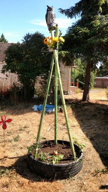 Tractor Tire Garden, Classroom Areas, Deer Netting, Reception Classroom, Tire Garden, Tire Planters, Hunky Dory, Tractor Tire, Kids Garden