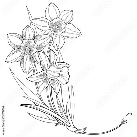 Daffodil Color, Greek Flowers, Lace Tattoo Design, Daffodil Flowers, Flower Boquet, Narcissus Flower, Lace Tattoo, Machine Quilting Designs, Daffodil Flower