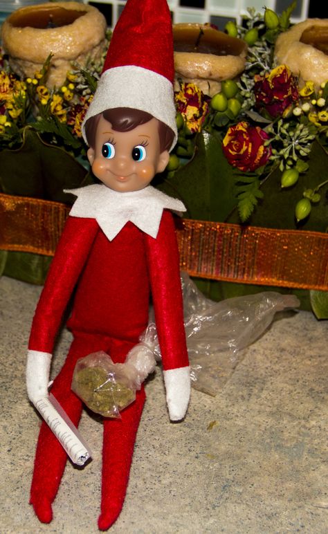 Adult Elf on the Shelf Adult Elf On The Shelf, Shelves Decor Ideas, Welcome Back Elf, Elf Delivery, Thanksgiving Table Decor Ideas, Superhero Party Favors, Elf On The Shelf Arrival, Elf Ideas Easy, Bad Elf