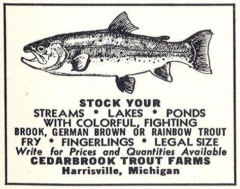 Fishing Posters, Michigan Fishing, Personal Writing, Fishing Party, Vintage Michigan, Fish Illustration, Lake Huron, Catching Fish, 50s Vintage