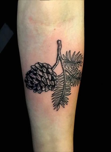 Pine Cone Tattoo, Pinecone Tattoo, Cone Tattoo, Olive Branch Tattoo, Larkspur Flower, Flower Tattoo Meanings, Branch Tattoo, Gladiolus Flower, The Language Of Flowers