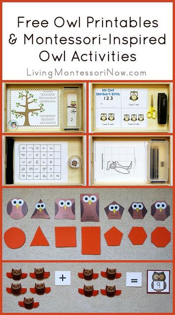 Long list of free owl printables plus ideas for using owl printables to create Montessori-inspired owl activities.:) Owl Preschool, Owl Activities, Night Animals, Owl Babies, Owl Printables, Owl Theme Classroom, Story Sack, Owl Classroom, Montessori Lessons