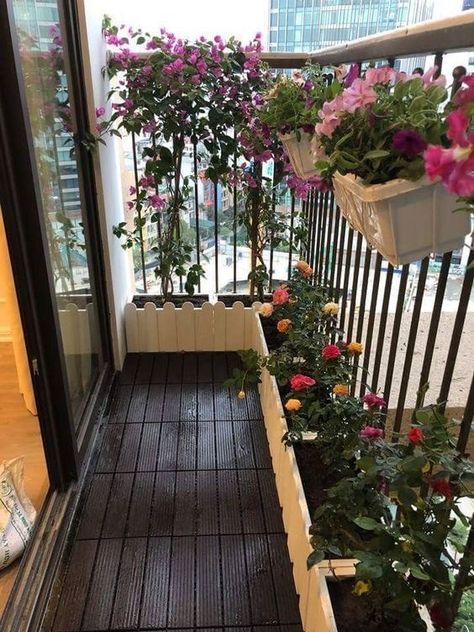 Balcon Mic, Outdoor Herb Garden, Apartment Balcony Garden, Hanging Herb Garden, Small Balcony Garden, نباتات منزلية, Terrace Decor, Small Terrace, Patio Pergola