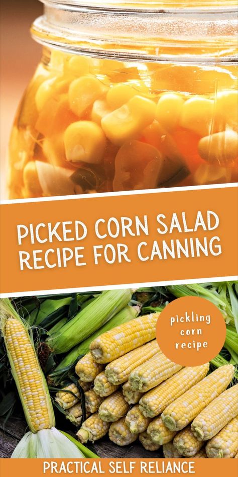 homemade pickled corn salad recipe for canning Canned Corn Recipes, Pickled Corn, Water Bath Canning Recipes, Pickled Vegetables Recipe, Salad Homemade, Fresh Corn Salad, Pressure Canning Recipes, Canning Pickles, Home Canning Recipes