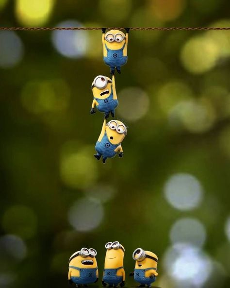 Minion Wallpaper Hd, Minion Wallpaper Iphone, Fun Wallpapers, Popular Wallpapers, Minions Wallpaper, Free Ringtones, On Wallpaper, Wallpaper Iphone, Minion