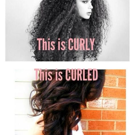 Hair Meme, Twisted Hair, Curled Hair, Curly Hair Problems, Types Of Hair, Hair Problems, Hair Life, Curly Hair Tips, Curly Hair Cuts