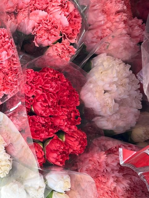 Carnations You Had Thought Were Roses, Carnations And Roses Bouquet, Carnation Aesthetic, Naomi Core, Zodiac Flowers, Pretty Energy, Market Flowers, Collage Journal, Favourite Flowers