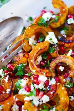 Maple Roasted Delicata Squash with Goat Cheese and Pomegranate | Talley Farms Box Pomegranate Appetizer, Goat Cheese Pomegranate, Squash Goat Cheese, Roasted Delicata Squash, Delicata Squash, Winter Squash, Pomegranate Seeds, Dried Cranberries, Goat Cheese