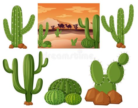 Campo del desierto con las plantas del cactus ilustración del vector Plants Illustration, Diy Succulent Terrarium, Cactus Vector, Tiles Game, Cactus Planta, Cactus Illustration, Plant Vector, Desert Cactus, Succulent Terrarium