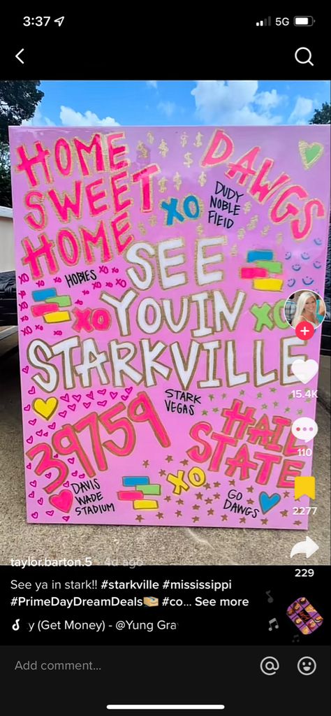 This but it says like see you in carlisle Starkville Painting, College Canvas Art Dorm Room, Mississippi State Paintings, College Dorm Canvas, Mississippi State Dorm Room, Mississippi State Dorm, Starlight Preppy, College Canvas Paintings, Msu Dorm