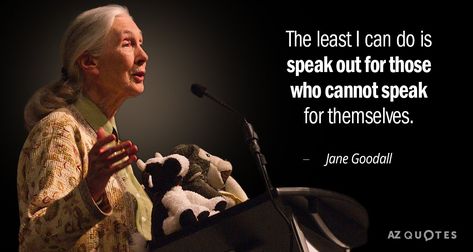 Jane Goodall quote: The least I can do is speak out for those... Jane Goodall Quote, Jane Goodall Quotes, Whiteboard Quotes, Cap Quotes, Rare Quotes, Dian Fossey, Rare Quote, Rachel Carson, Jane Goodall