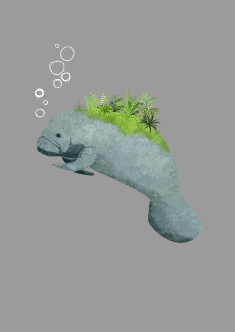 Manatee Illustration, Manatee Drawing, Manatee Tattoo, Manatee Art, Katherine Blower, Dessin Adorable, Ocean Animals, Cute Animal Drawings, Mini Art