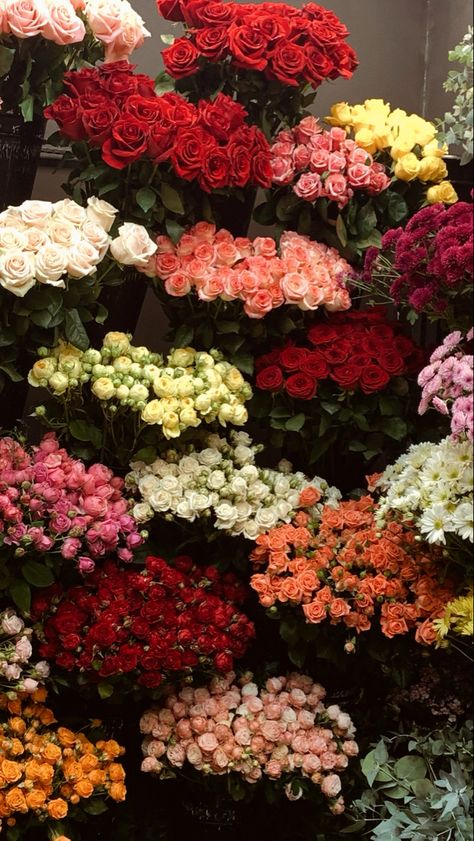 Flowers Shop Aesthetic, Flowers Bouquet Wallpaper, Rose Flowers Aesthetic, Rose Bouquet Aesthetic, Roses Aesthetic Bouquet, Flowers Aesthetic Roses, Rose Flower Aesthetic, Rosie Aesthetic, Roses Flowers Aesthetic