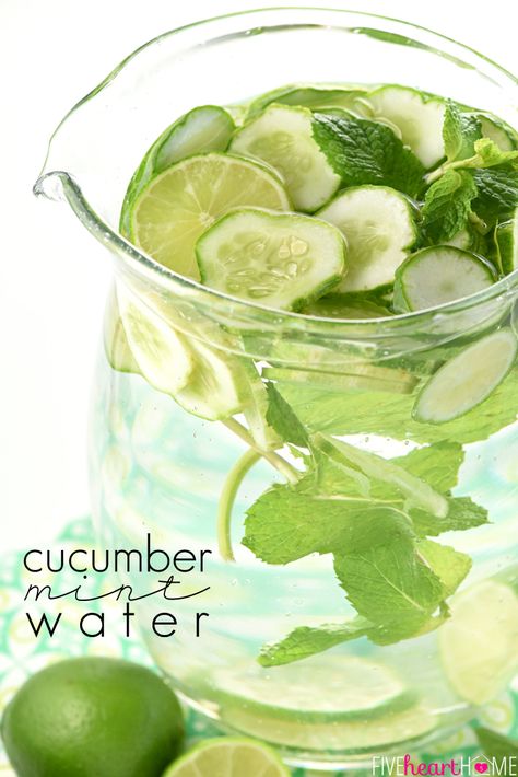 Cucumber Mint Infused Water {with or without lime} Cucumber Mint Water, Lime Infused Water, Mint Infused Water, Cucumber Infused Water, Fancy Water, Fruit Infused Water Recipes, Flavored Water Recipes, Lime Water, Mint Water