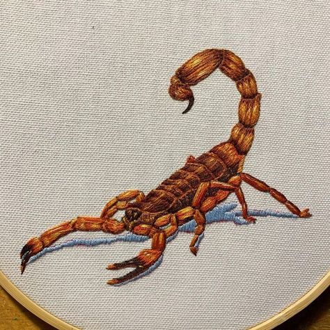 Needle And Thread, Scorpion, Hand Embroidered, Hand Embroidery, Hand Sewing, Embroidery, Instagram Photos, Sewing, Knitting