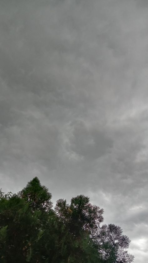 Nature.Tress.Clouds.Wallpaper hd .Rain Aesthetics.Hd photography.Trying to capture Rain Clouds Aesthetic, Rain Aesthetics, Hd Photography, Weather Cloud, Clouds Wallpaper, Rain Photo, Dark Nature, Rain Wallpapers, Clouds Photography