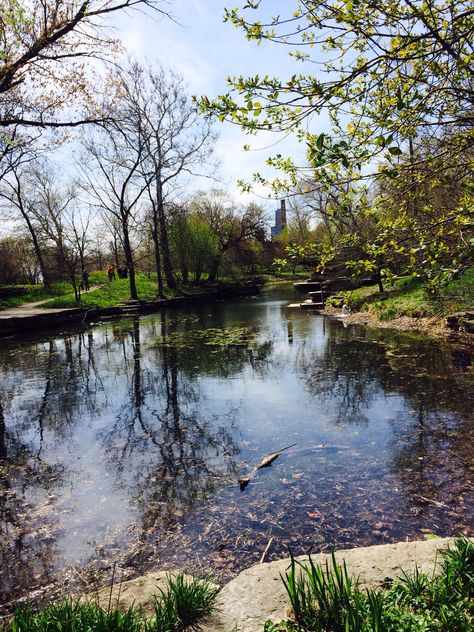 Alfred Caldwell lily pool, Lincoln Park, Chicago. Hancock building visible in the background Lincoln Park Chicago, Lincoln Park, Lincoln, Chicago, Lily, Pool, Building, Water