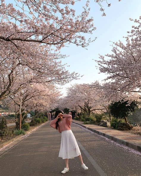 Cherry Blossom Selfie, Cherry Blossom Outfit, Korean Spring Outfits, Spring Outfits Japan, Blossom Pictures, Boyfriends Birthday Ideas, Princesscore Aesthetic, Embrace Femininity, Japan Outfits