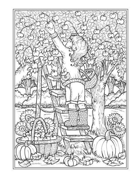 Dover Coloring Pages, Creative Haven Coloring Books, Blending Colored Pencils, Free Kids Coloring Pages, Abstract Coloring Pages, Pumpkin Coloring Pages, Adult Coloring Designs, Free Adult Coloring Pages, Fall Coloring Pages