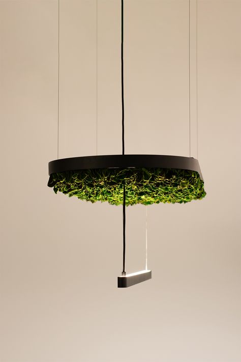 We are excited to introduce our newest creation - the Hoverlight.

This acoustic biophilic lighting fixture seamlessly combines design, sustainability, lighting, and acoustics into a singular piece. 

Available in four distinct botanical styles and offers two lighting options, inviting the essence of nature indoors.

#biophilicdesign #acousticlighting #acousticsolutions #workspacedesign #LightingSolutions #lighting #interiordesign #hospitalityspaces #hospitalitydesign Biophilic Lighting, Design Sustainability, Acoustic Solutions, Smart Home Design, Lighting Trends, Lighting Options, Sound Absorbing, Workspace Design, Plant Lighting