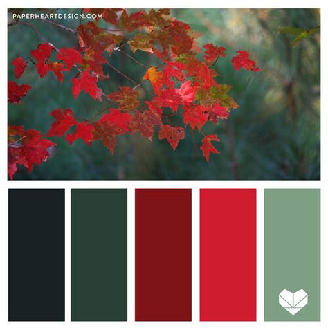 Teal Red Bedroom, Green Red Colour Palette, Red And Green Color Scheme, Green And Red Colour Palette, Red And Green Palette, Color Palette With Red, Red And Green Color Palette, Color Palette Autumn, 5 Color Palette