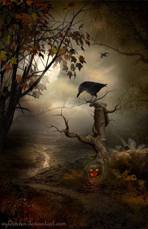 Samhain Wallpaper, Pagan Celebrations, Voodoo Art, Witchy Art, Image Halloween, Samhain Halloween, Carte Halloween, A Crow, Odaiba