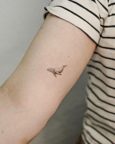 small shark tattoos • Instagram Whale Shark Line Tattoo, Little Shark Tattoo, Small Whale Tattoo, Small Shark Tattoo, Whale Shark Tattoo, Tattoos Instagram, Whale Tattoo, Small Shark, Single Needle Tattoo