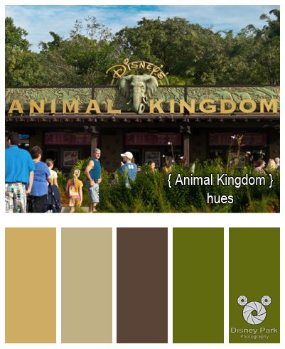 . Disney Attractions, Disney Scrapbooking Layouts, Disney Scrapbook Pages, Disney Memories, Disney Colors, Color Me Beautiful, Disney Decor, Disney Park, Disney Home