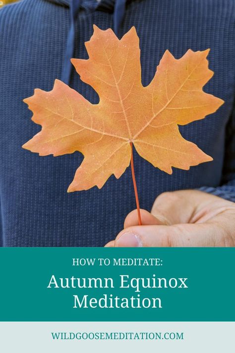 Autumn Leaf Autumn Equinox Meditation and Celebration Ideas Best Guided Meditation, Metta Meditation, Guided Meditation Scripts, Yoga Reading, Vipassana Meditation, Meditation Scripts, Autumnal Equinox, Buddhist Meditation, Meditation Mantras