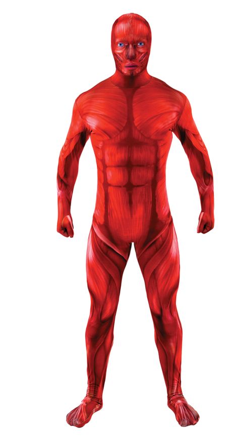 Muscle Second Skin Suit (ref: 69502) http://www.joke.co.uk/muscle-second-skin-suit~69502/ Mens Anatomy, Body Suit Costume, Blossom Costumes, Skeleton Bodysuit, Skin Anatomy, Mens Fancy Dress, Joker Costume, Horror Costume, Bodysuit Costume